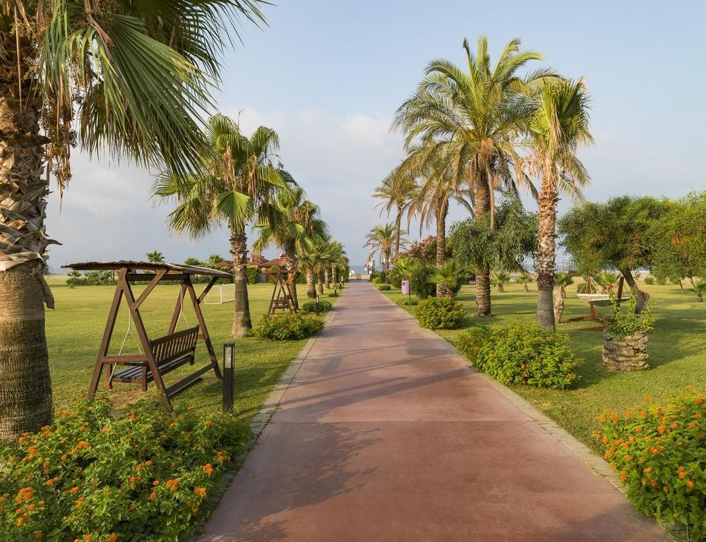 Outdoor Pictures 24