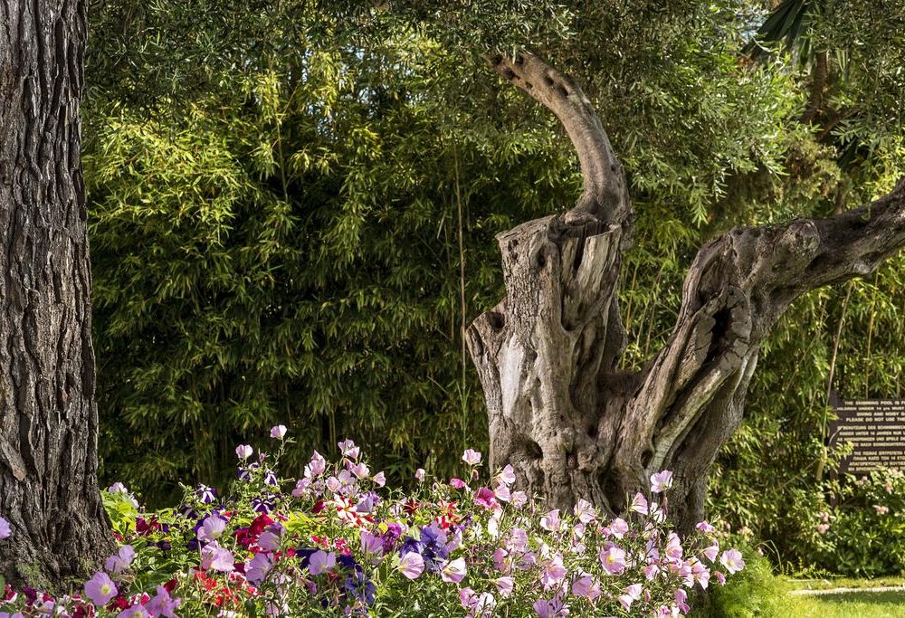 Outdoor Pictures 22