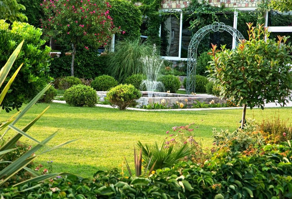 Outdoor Pictures 21