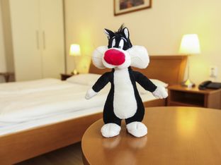 Hotel Image 1