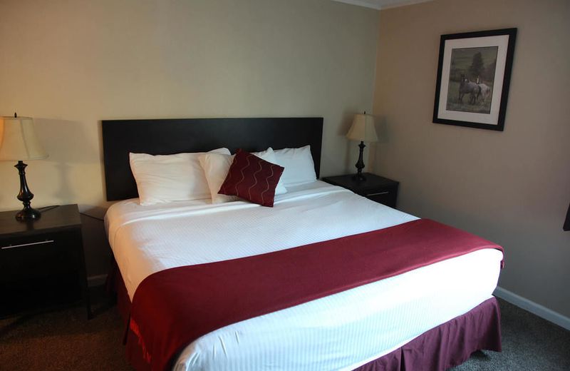 RIMVIEW INN