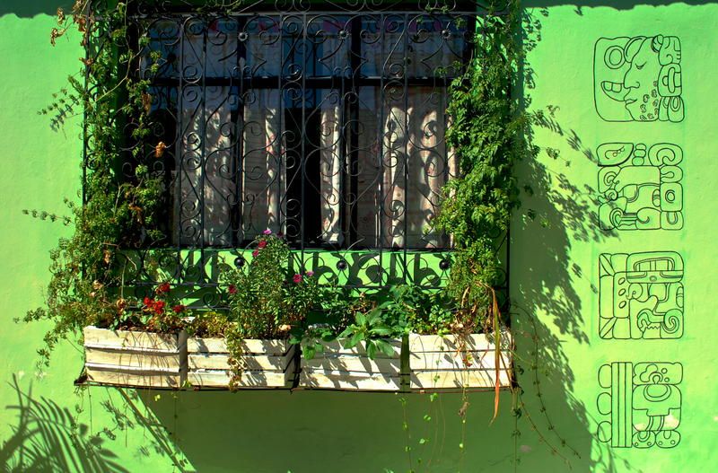 Outdoor Pictures 23