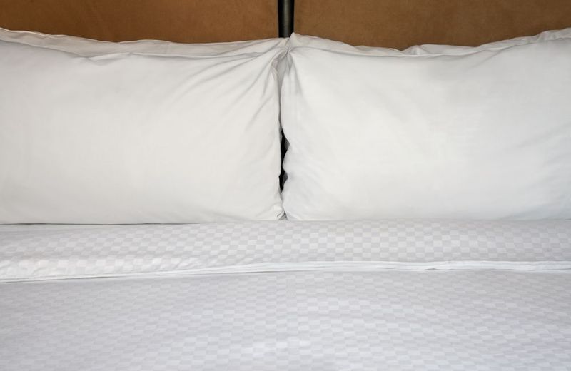 Four Points by Sheraton Suites Tampa Airport Westshore