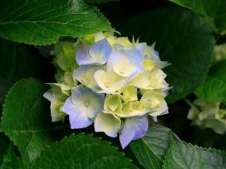 Outdoor Pictures 21