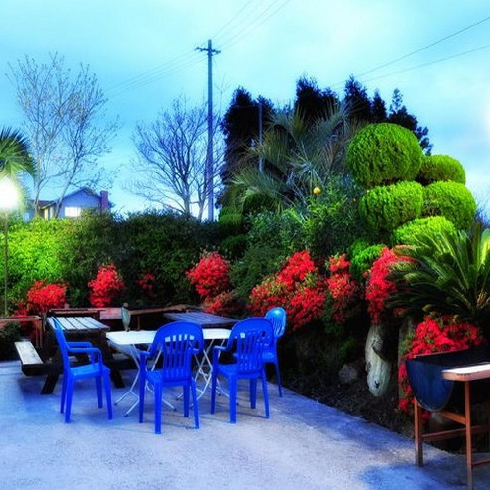 Outdoor Pictures 3