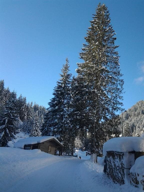 Outdoor Pictures 7