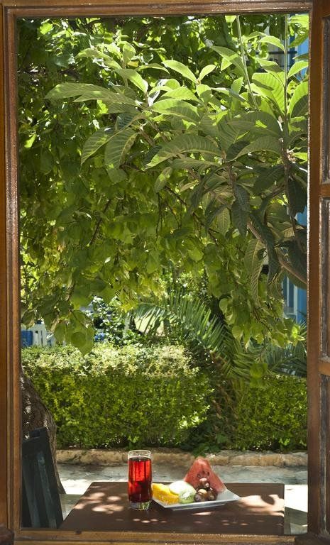 Outdoor Pictures 20