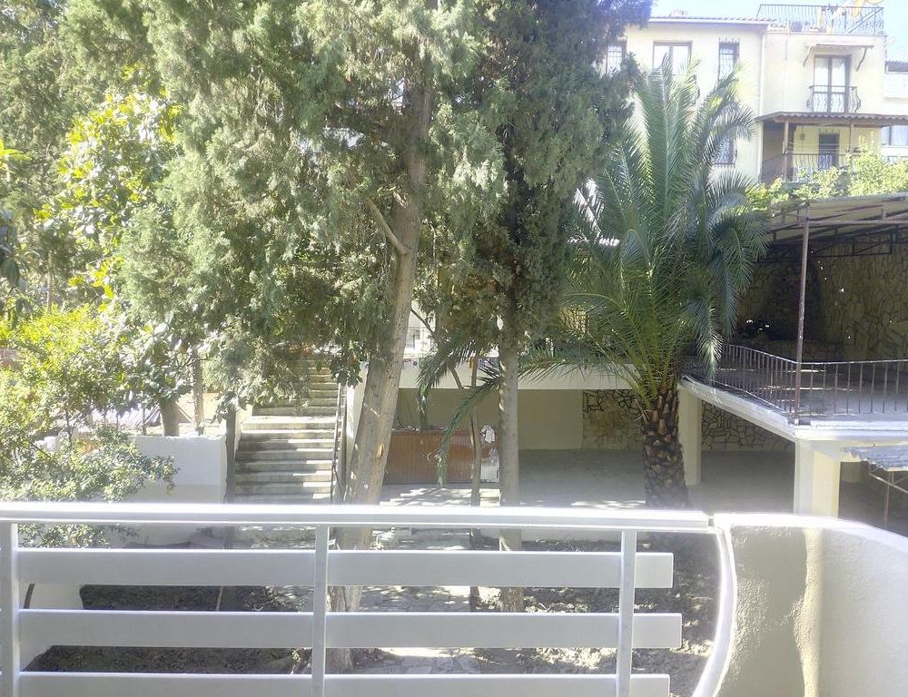 Outdoor Pictures 17