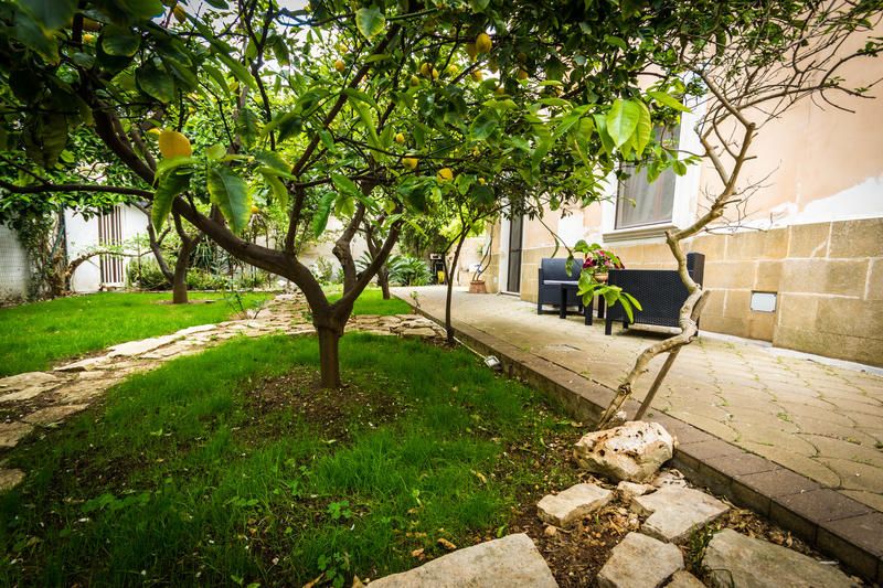 Outdoor Pictures 20
