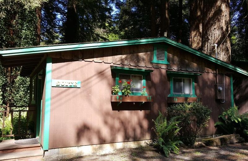 Emerald Forest Cabins