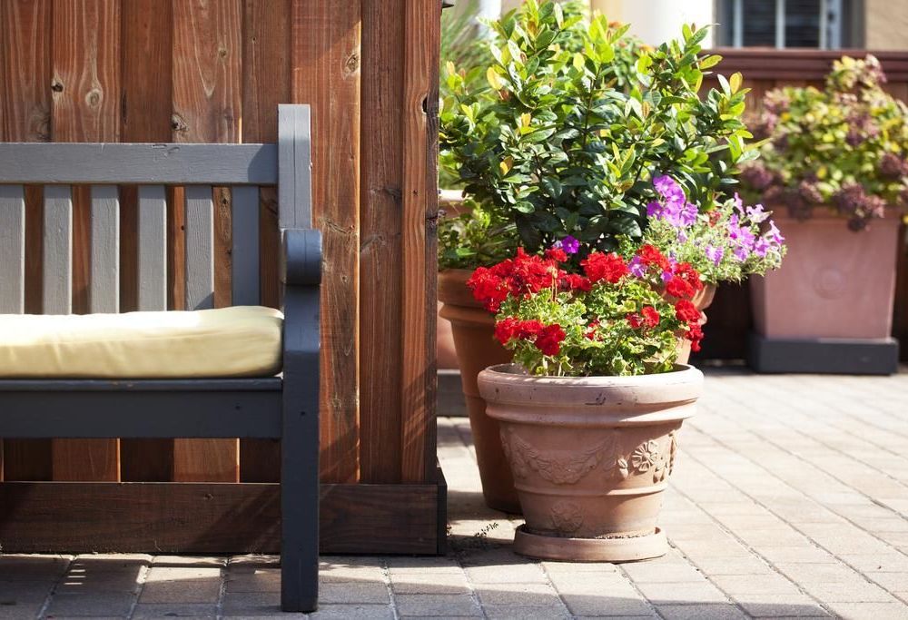 Outdoor Pictures 23