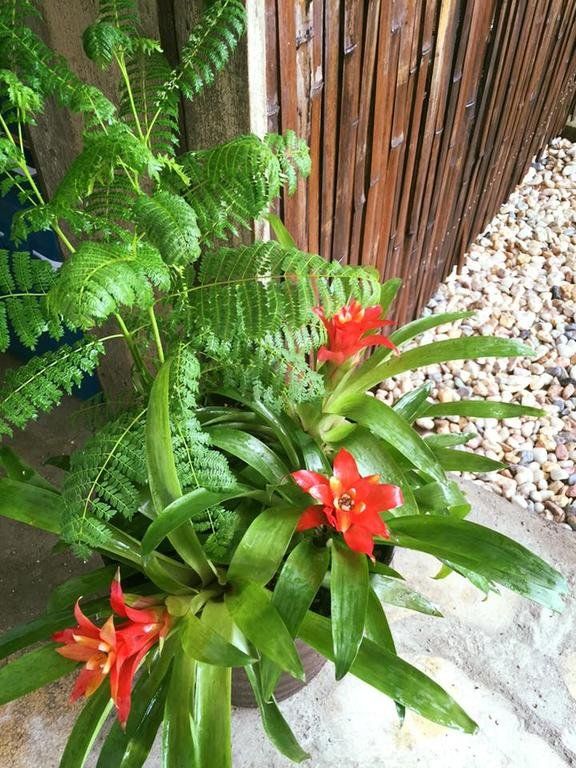 Outdoor Pictures 19