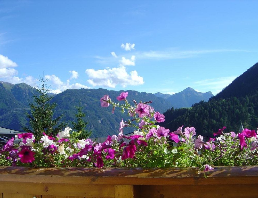 Outdoor Pictures 21