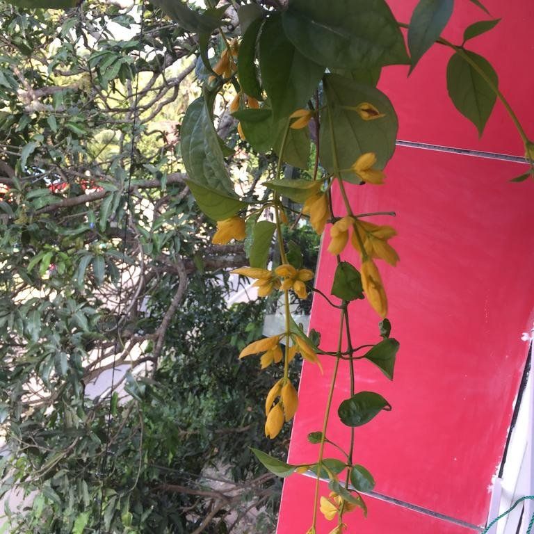 Outdoor Pictures 15