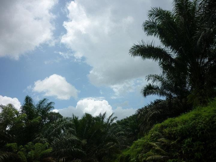 Outdoor Pictures 19
