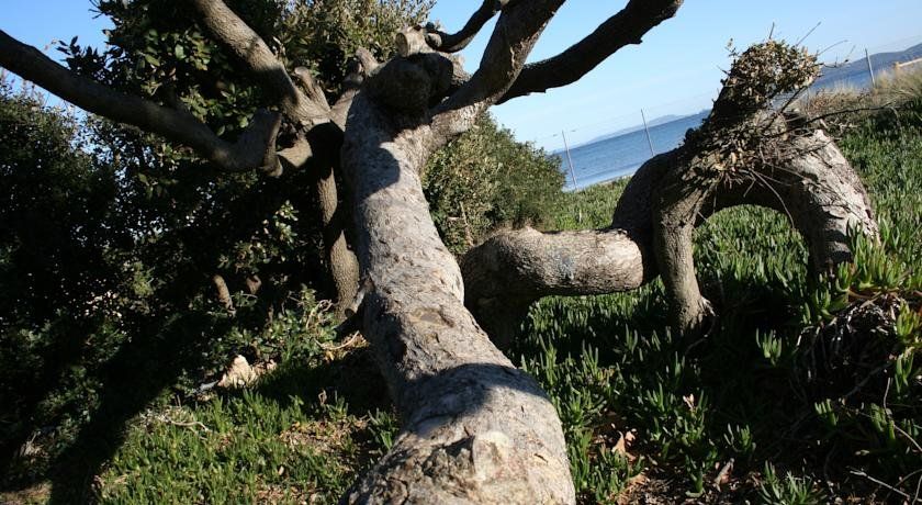 Outdoor Pictures 7