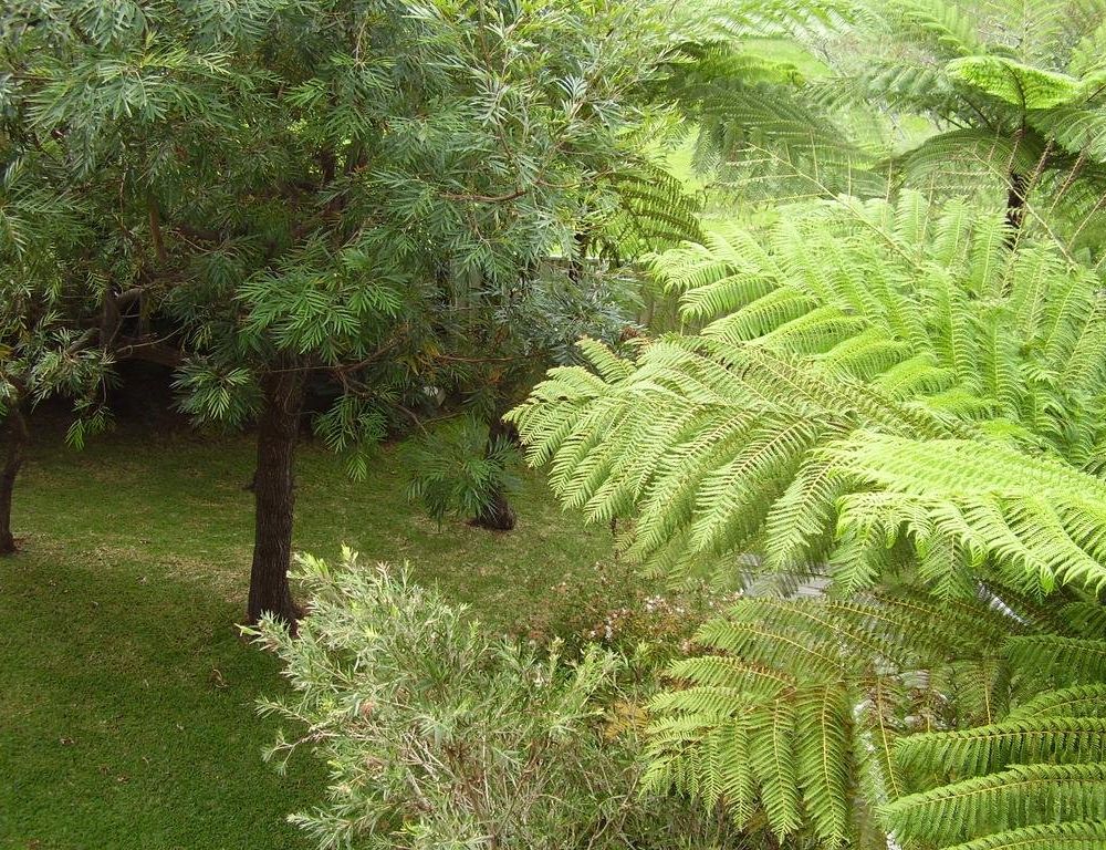 Outdoor Pictures 19