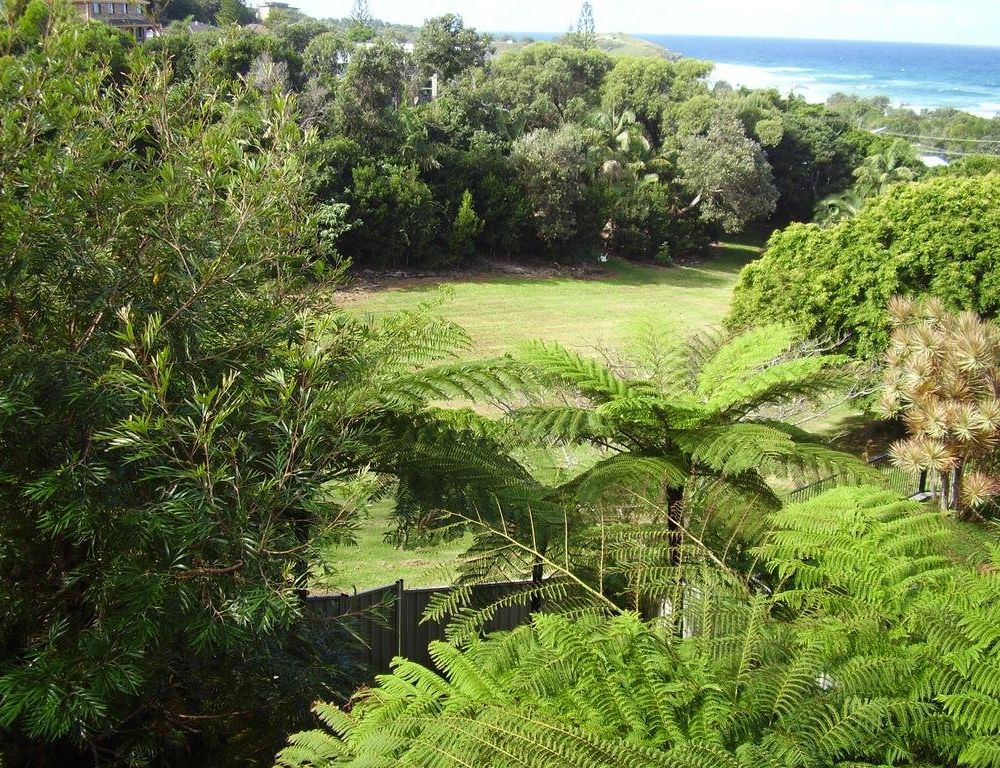 Outdoor Pictures 17