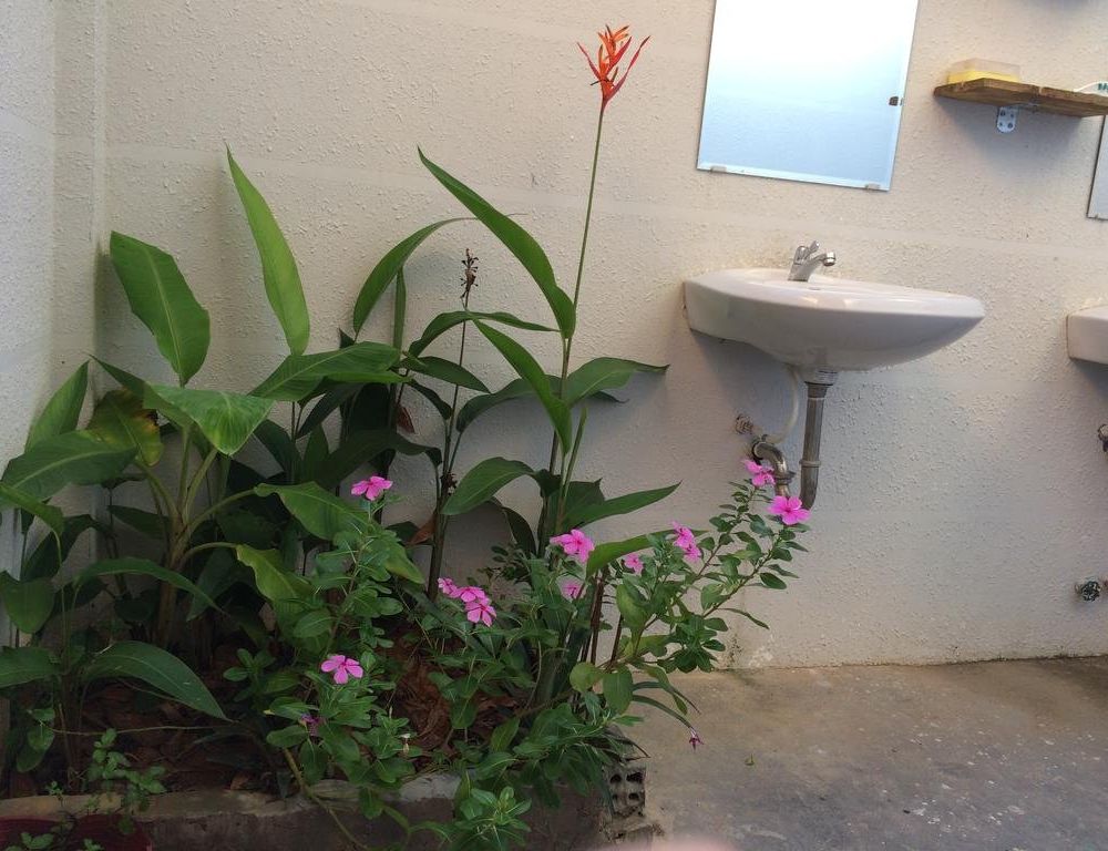 Outdoor Pictures 7
