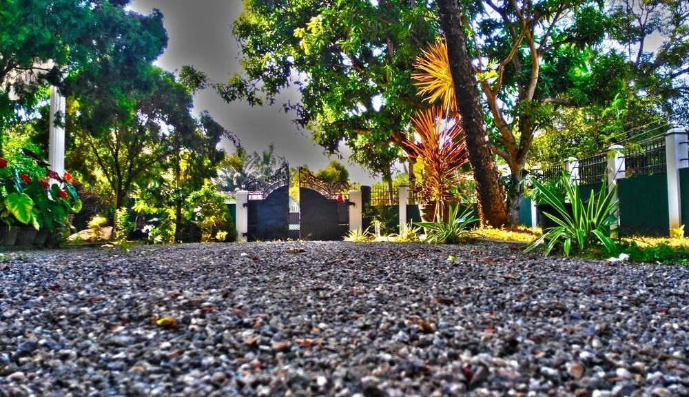Outdoor Pictures 24