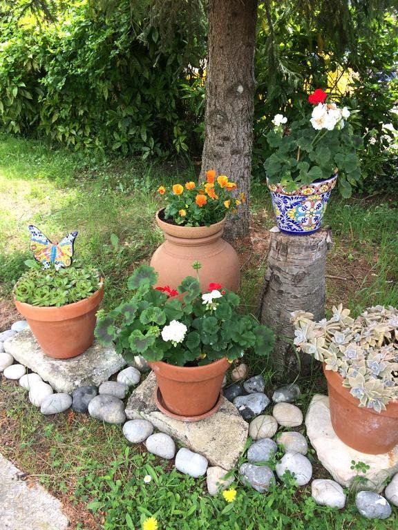 Outdoor Pictures 10