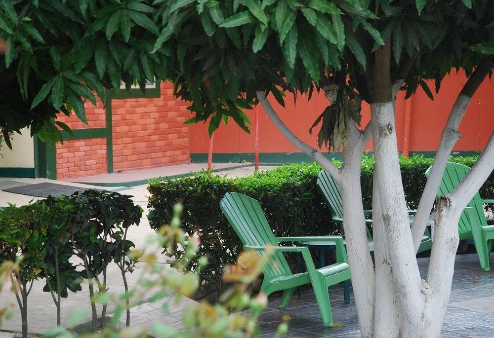 Outdoor Pictures 10