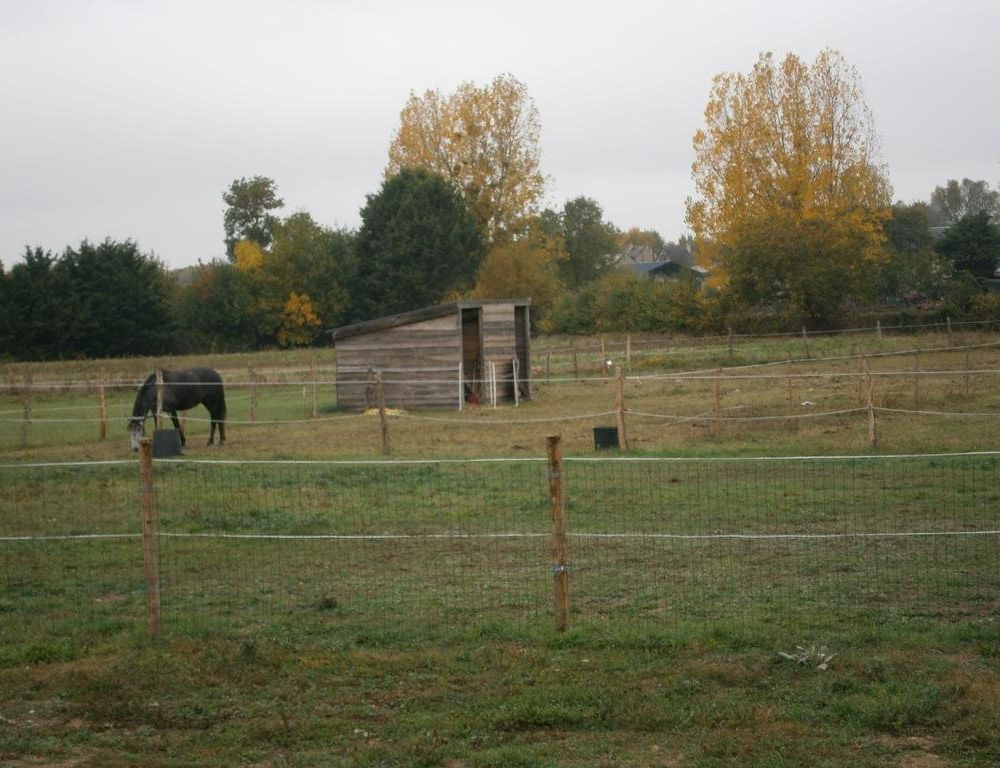Outdoor Pictures 13