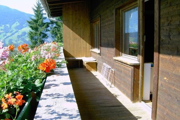 Outdoor Pictures 16