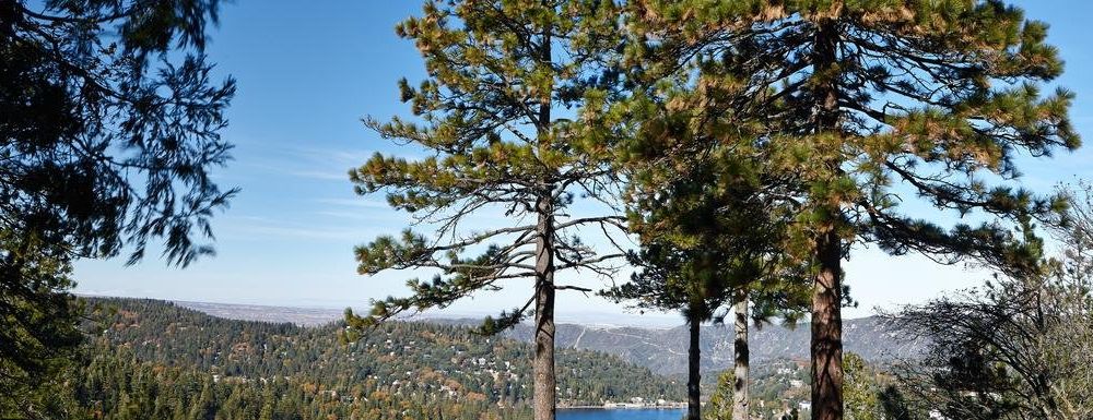 Outdoor Pictures 17
