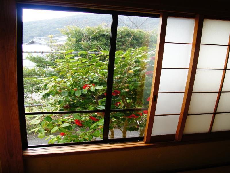 Outdoor Pictures 10
