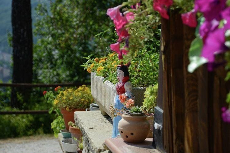 Outdoor Pictures 11
