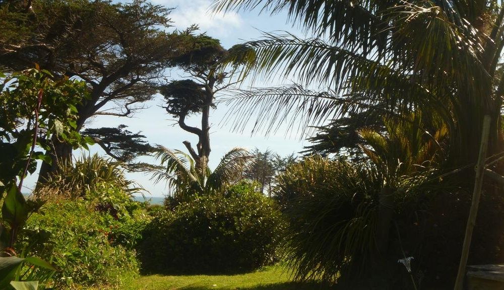 Outdoor Pictures 12