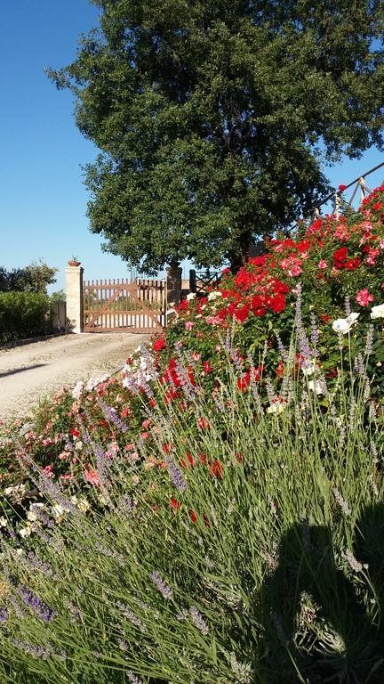 Outdoor Pictures 15