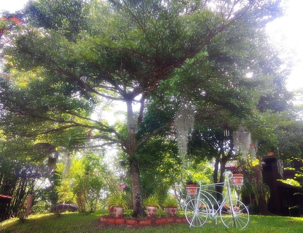 Outdoor Pictures 9