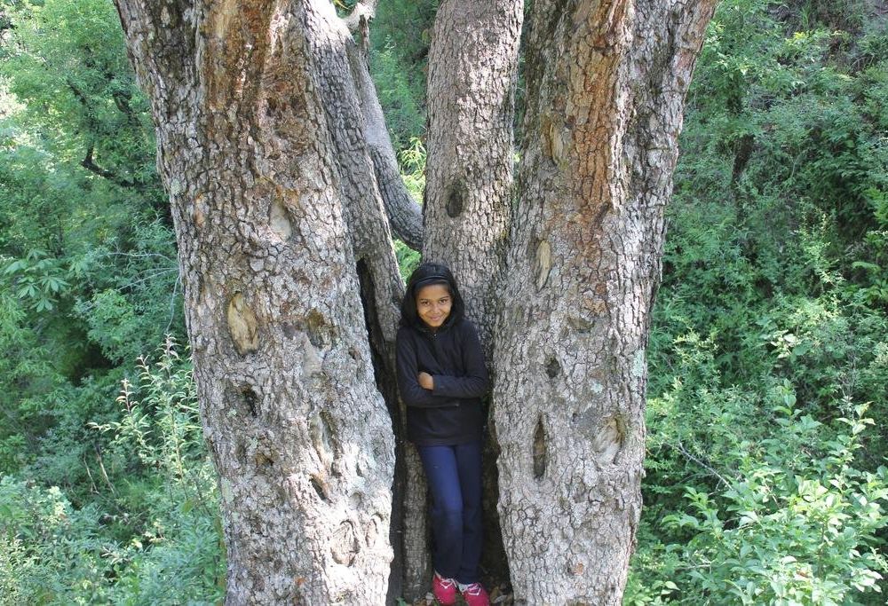 Outdoor Pictures 18