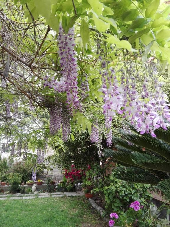 Outdoor Pictures 24