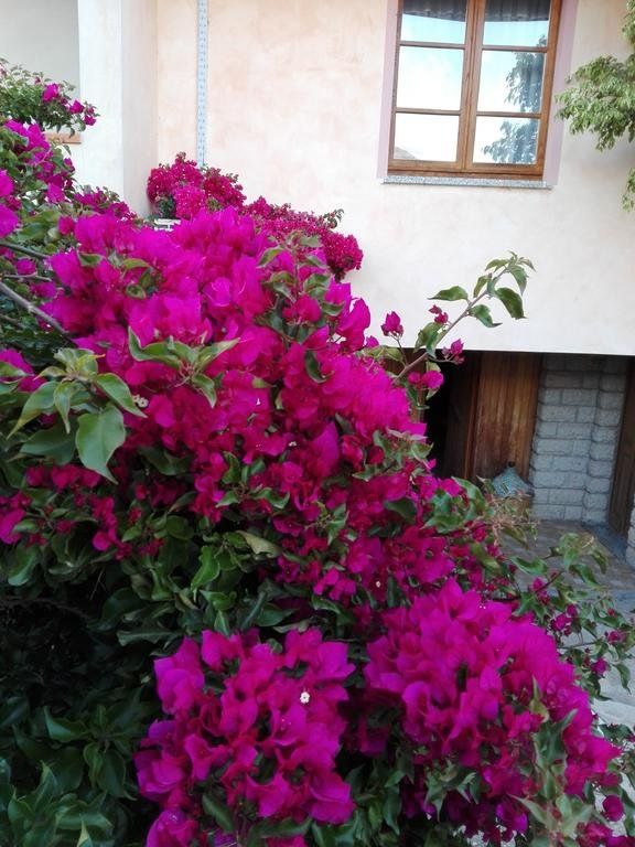 Outdoor Pictures 20