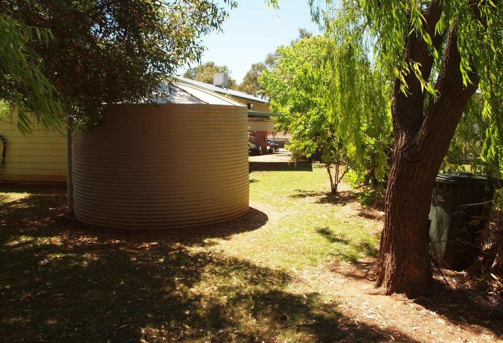 Outdoor Pictures 16