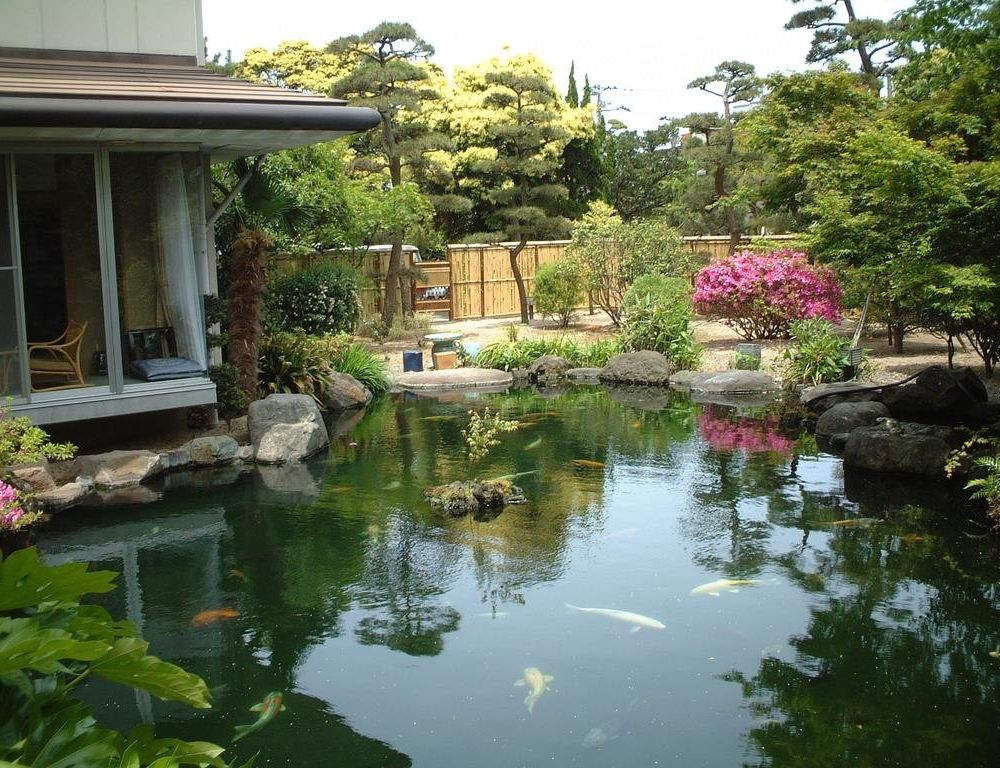 Outdoor Pictures 10