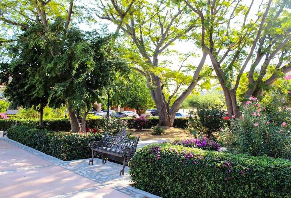 Outdoor Pictures 20