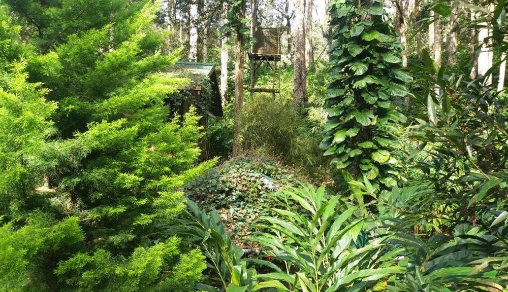 Outdoor Pictures 22