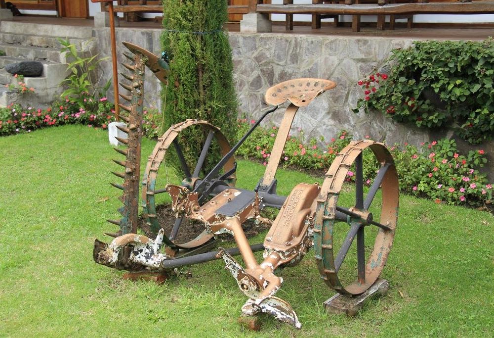 Outdoor Pictures 9