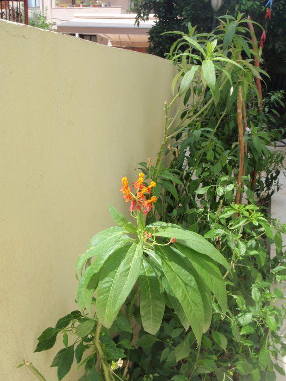 Outdoor Pictures 22