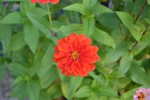 Outdoor Pictures 7