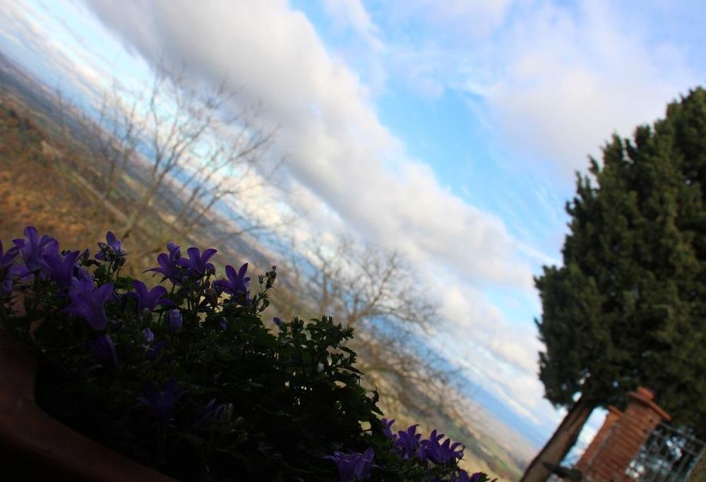 Outdoor Pictures 17