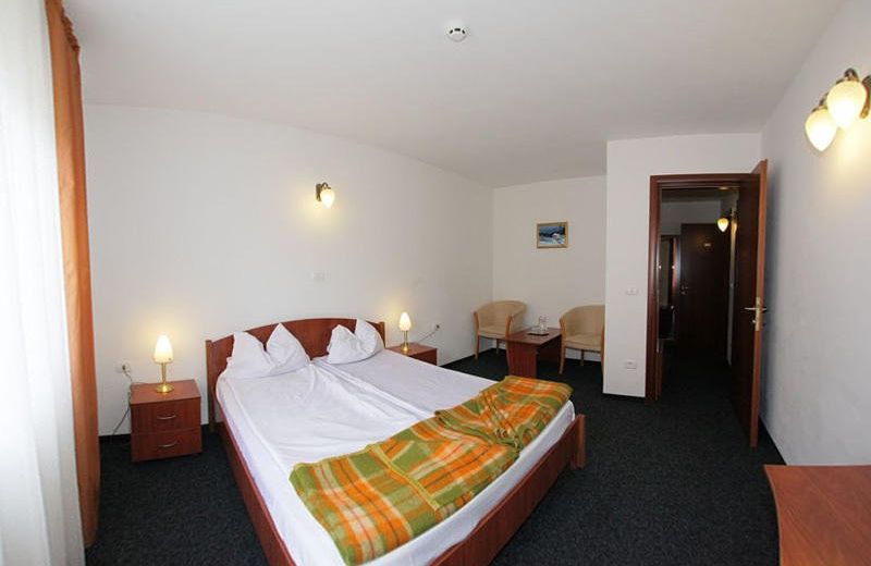 Hotel Paltinis
