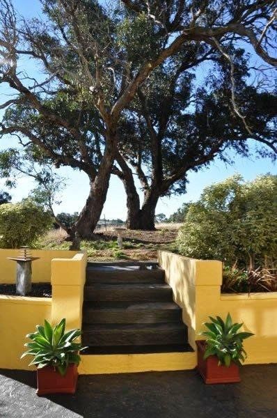 Outdoor Pictures 18