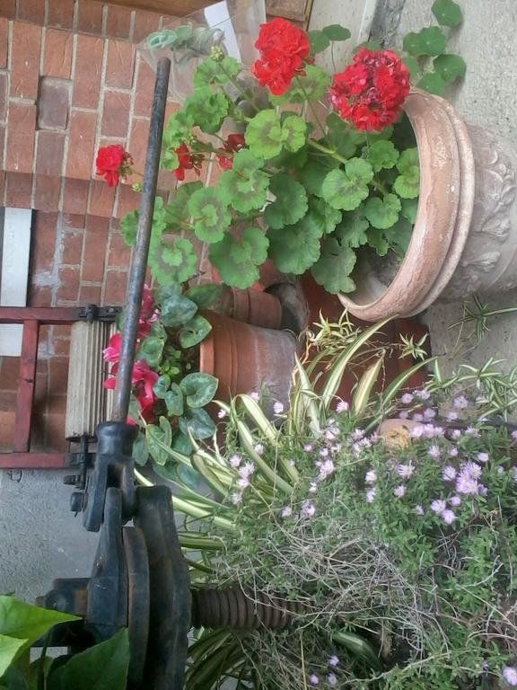Outdoor Pictures 21