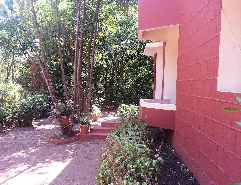 Outdoor Pictures 18