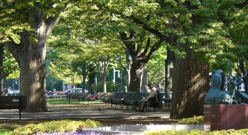 Outdoor Pictures 9